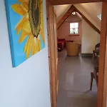 Appartamento Energetischer Urlaub In Der Eifel
