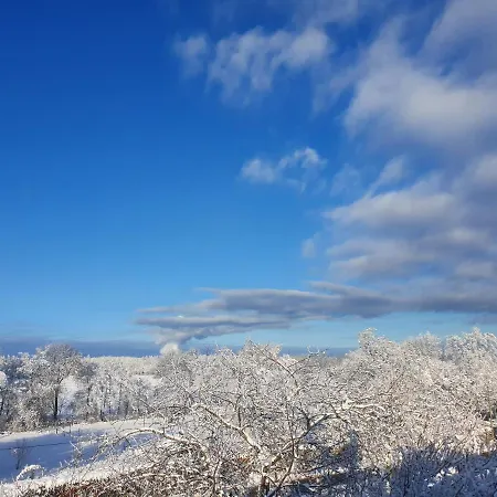 Energetischer Urlaub In Der Eifel Apartment *