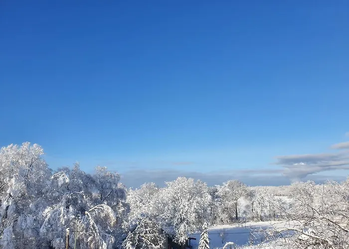 Energetischer Urlaub In Der Eifel Lejlighed *