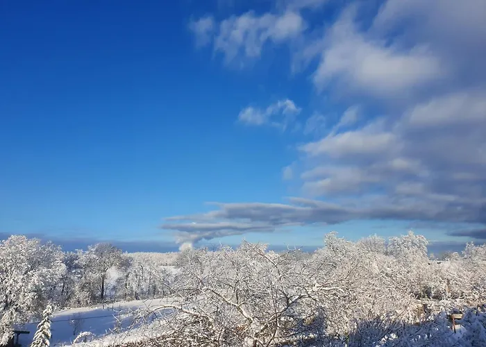 Energetischer Urlaub In Der Eifel Apartmán *